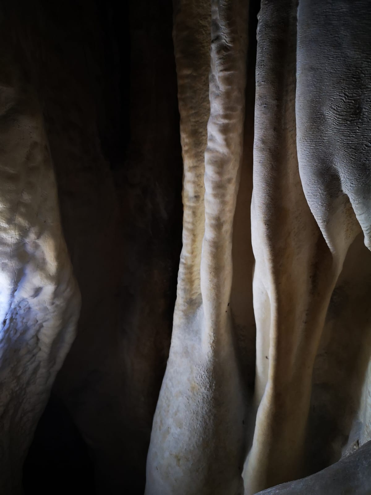 Peștera Surprizei - Image 6